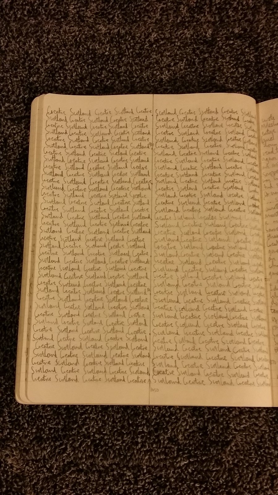 The writings of a character in my NaNoWriMo novel