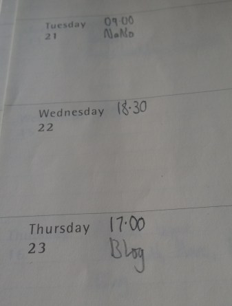 An extract from my Moleskine diary